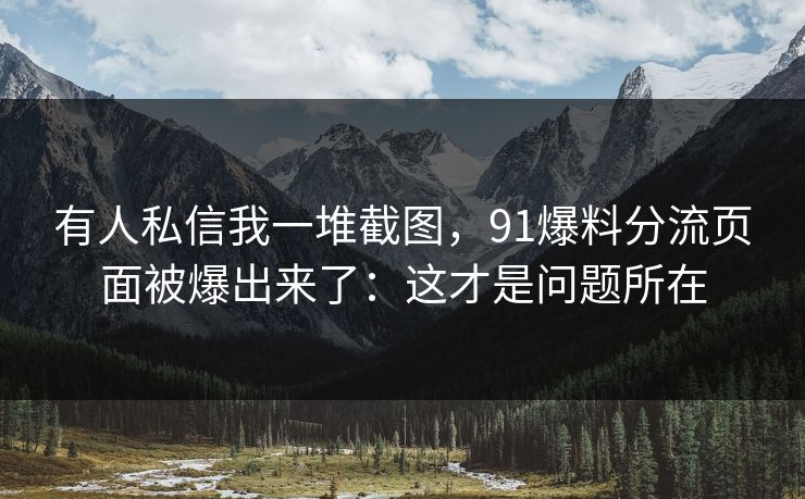 有人私信我一堆截图，91爆料分流页面被爆出来了：这才是问题所在