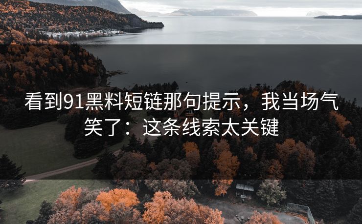 看到91黑料短链那句提示，我当场气笑了：这条线索太关键