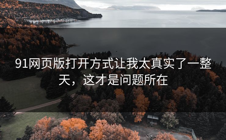 91网页版打开方式让我太真实了一整天，这才是问题所在